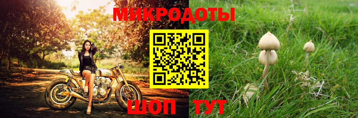 Туапсе  Псилоцибиновые грибы мухоморы  Вход с VPN 