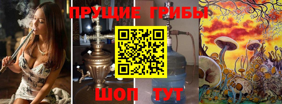 Псилоцибиновые грибы Psilocybine cubensis Туапсе